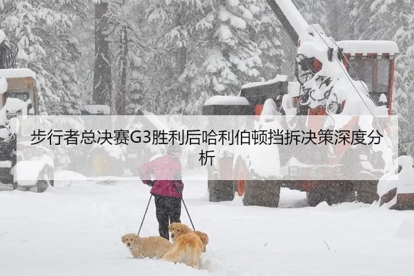 bu-xing-zhe-zong-jue-sai-sheng-li-hou-ha-li-bo-dun-dang-chai-jue-ce-shen-du-fen-xi-2-117.jpg